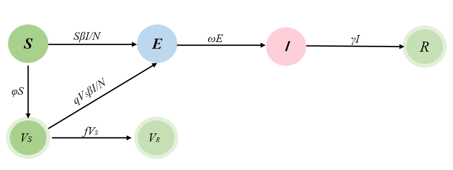 SVEIR模型流程图