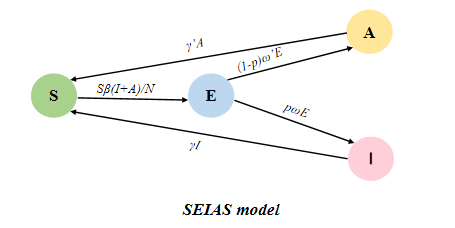 SEIAS模型流程图